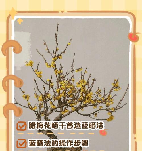 腊梅花繁殖方法有哪些？