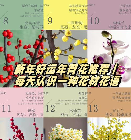 马约兰的种植步骤和管理要点？