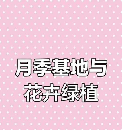 月季种植方法是什么？如何种植出美丽的月季？