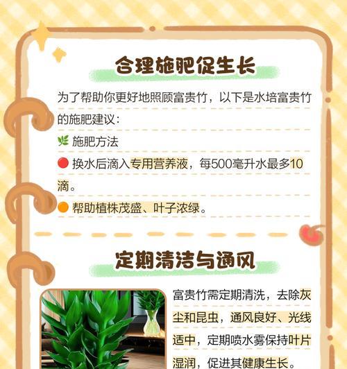 水养富贵竹繁殖的有效方法是什么？