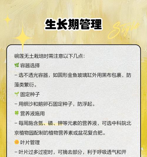 碗莲种植的正确步骤是什么？
