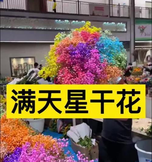 鲜满天星的养护方法是什么？如何让满天星开出美丽的花朵？