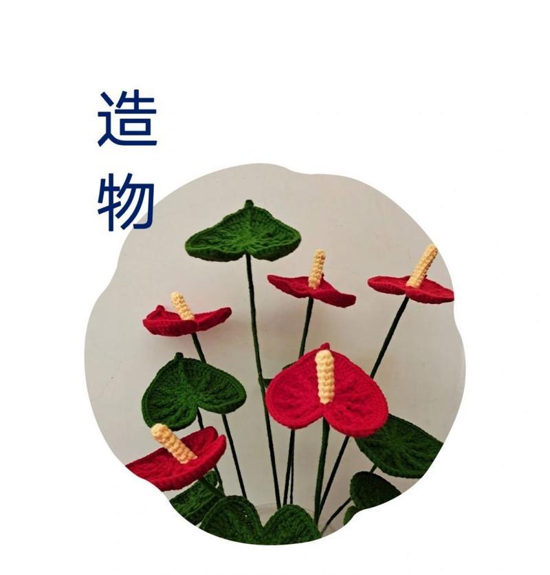 红掌的花语及其象征意义是什么？