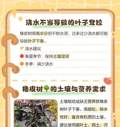 像皮树叶子发黄是什么问题？如何进行有效处理？
