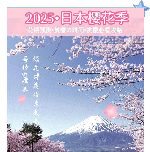 四季樱花的养殖技巧和注意事项是什么？