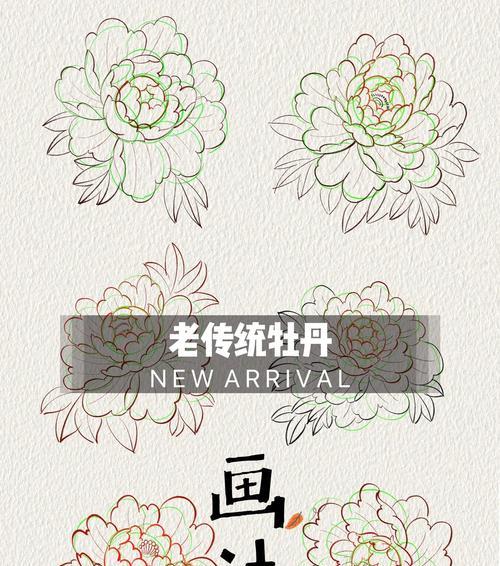 牡丹花的繁殖方法和步骤有哪些？