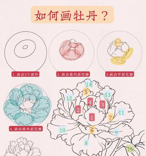 牡丹花的繁殖方法和步骤有哪些？