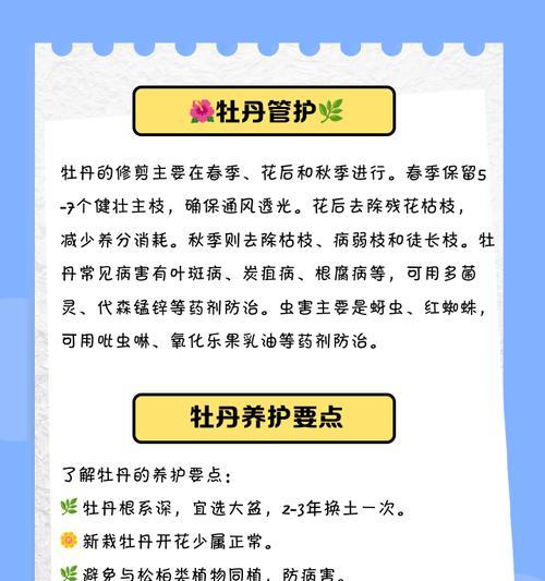牡丹花的繁殖方法和步骤有哪些？