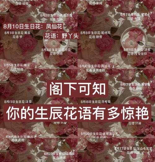莺鸣玉的正确养护方法是什么？
