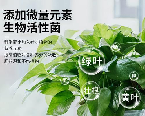 植物肥料的正确使用方法有哪些？