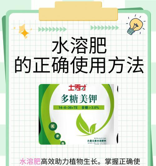 植物肥料的正确使用方法有哪些？