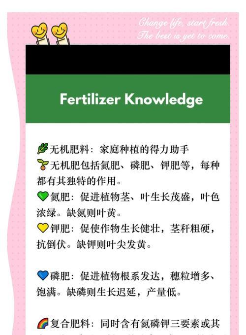 植物肥料的正确使用方法有哪些？