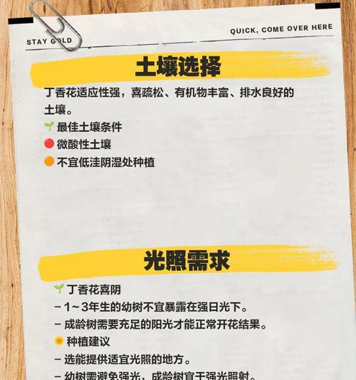丁香花的养殖方法和常见问题？