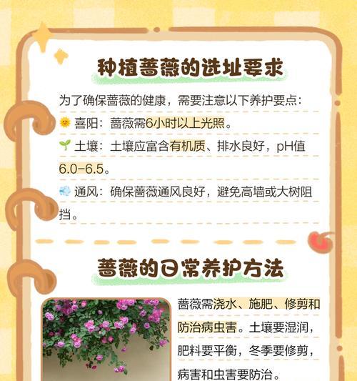 啬微花的养殖环境和条件是什么？