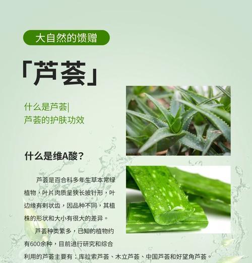 常见的芦荟品种有哪些？哪种芦荟最适合家庭种植？