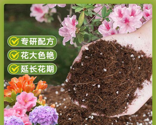 什么土壤好？不同植物对土壤类型的需求是什么？