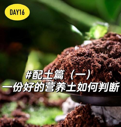 什么土壤好？不同植物对土壤类型的需求是什么？