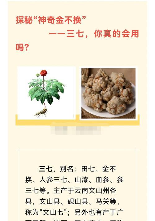 三七的种植和养护方法是什么？