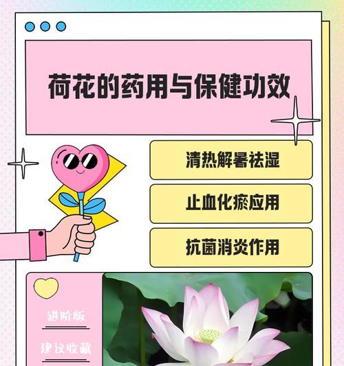 北方荷花冬季保护措施有哪些？