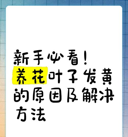 莲花的叶子发黄怎么办？原因及解决方法？