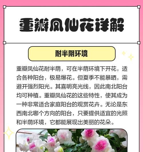 凤仙花的养殖技巧是什么？
