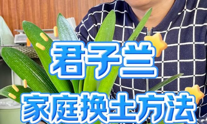 君子兰繁殖的正确方式有哪些？
