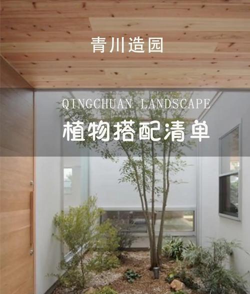 变叶木对家居环境有哪些益处？