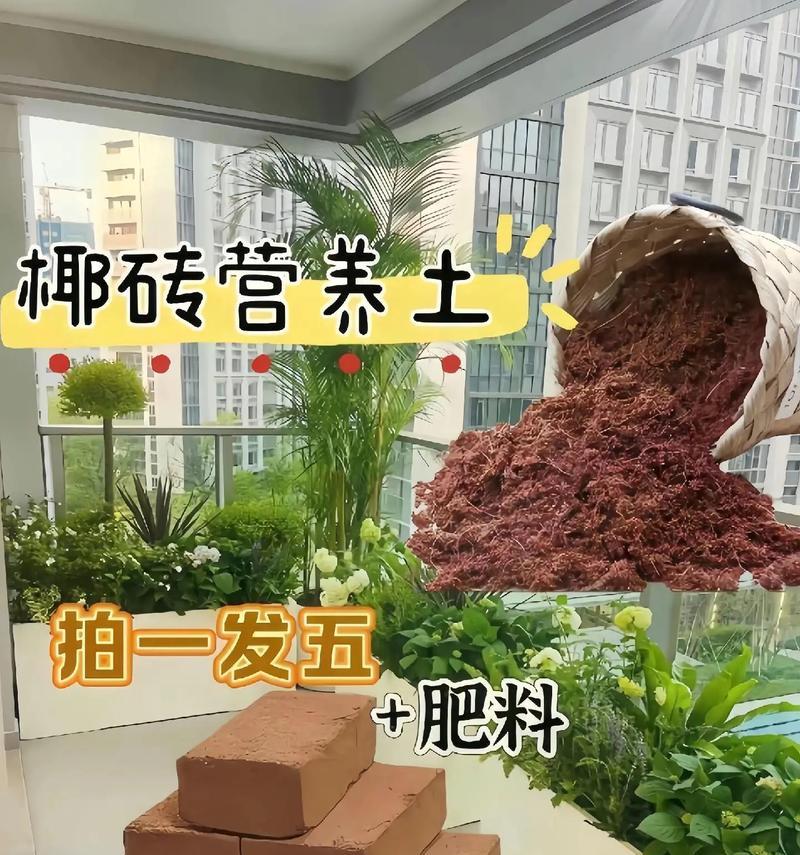 自制养花营养土的配方和步骤是什么？