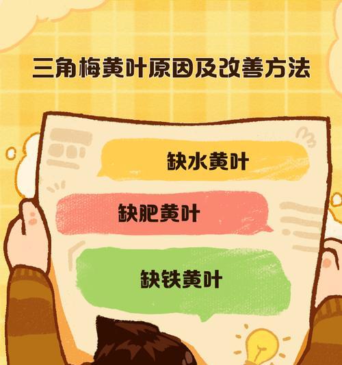 刺梅叶子发黄的原因是什么？
