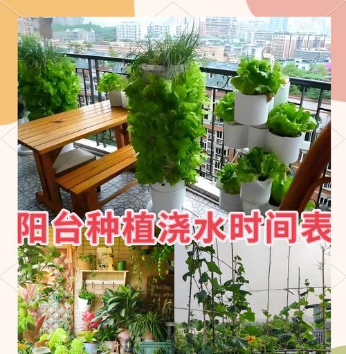 金桔浇水的最佳时间是什么时候？如何正确浇水？