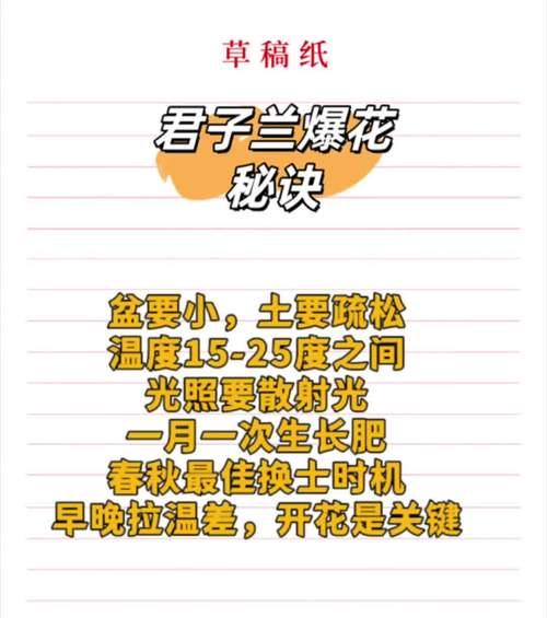 君子兰开花后的正确养护方法是什么？