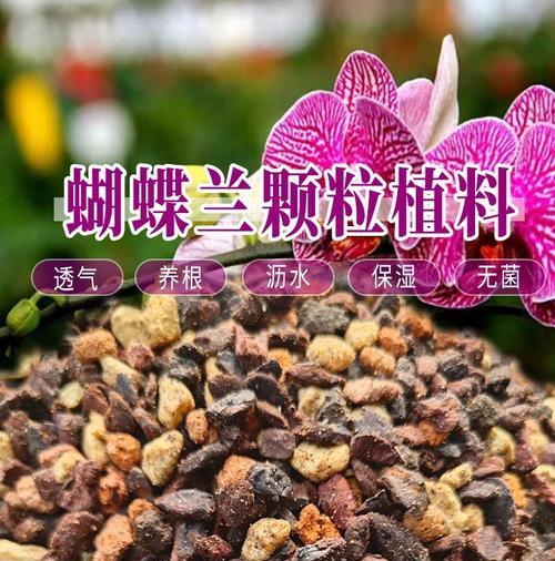 养花应该选择哪种土壤？