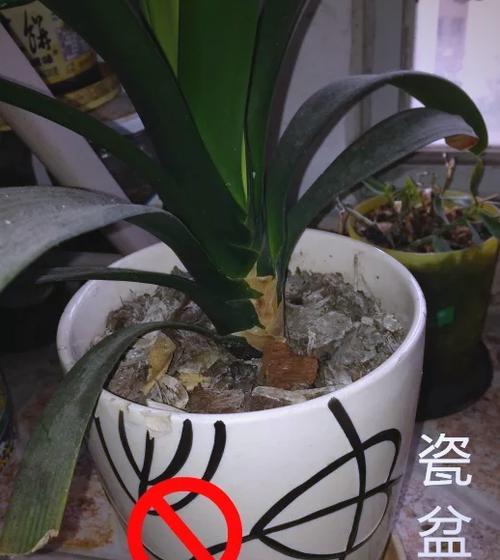 养花应该选择哪种土壤？