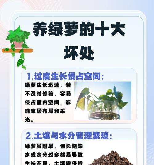绿箩根部腐烂的原因及预防措施是什么？