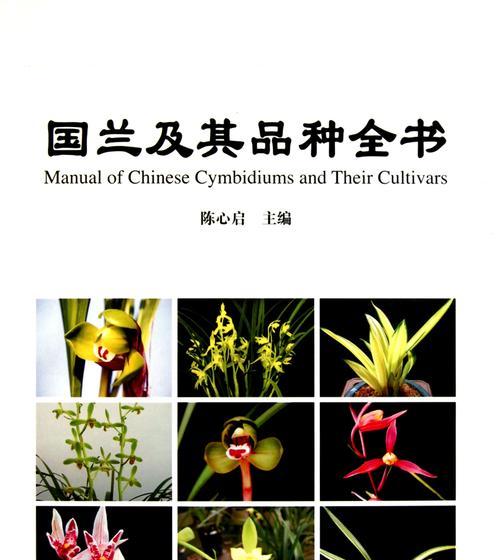 国兰品种有哪些？国兰的鉴赏标准是什么？