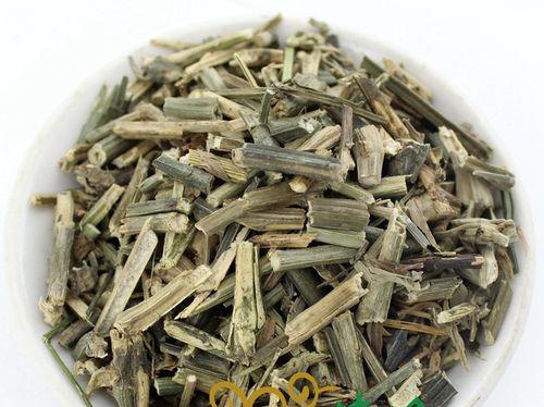 穿心莲的外观特征有哪些？穿心莲的识别方法是什么？