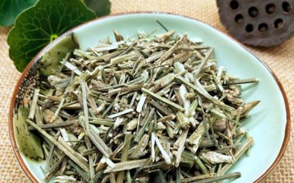 穿心莲的外观特征有哪些？穿心莲的识别方法是什么？