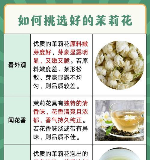 茉莉花的用途：茉莉花有哪些功效和作用？