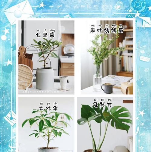 绿植品种大全在哪里可以找到？如何选择适合自己的绿植品种？