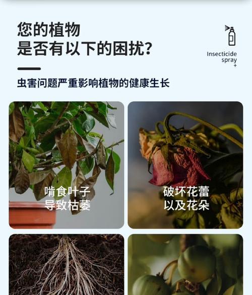 花卉杀虫的有效方法是什么？