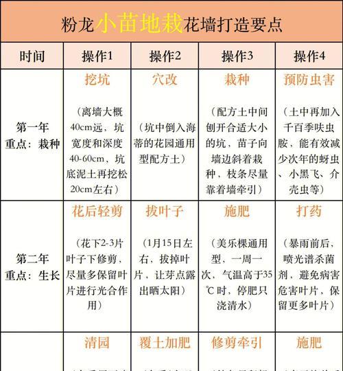 月季花的养殖方法和常见问题？