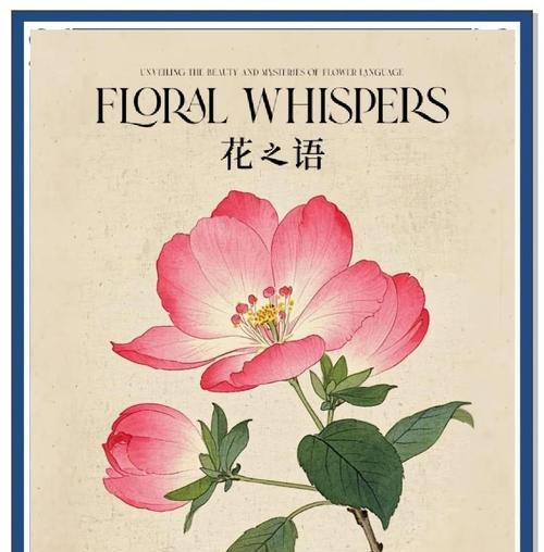 红花长虫后如何处理？