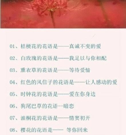 红花长虫后如何处理？