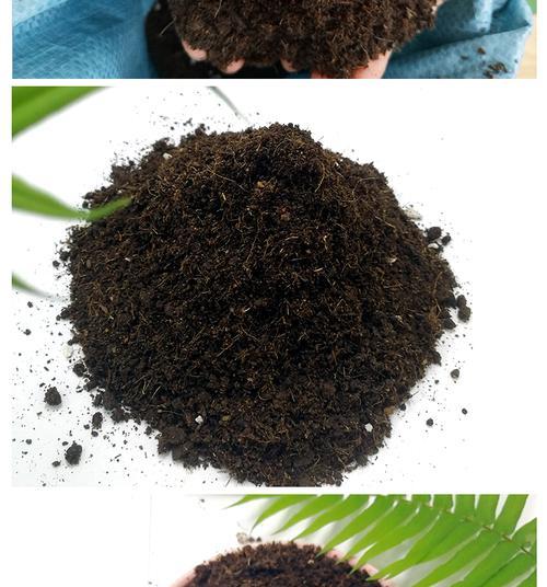 腐叶土适合种植哪些花卉？