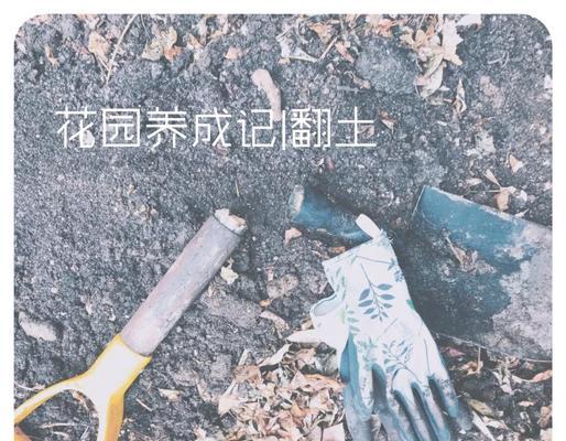 腐叶土适合种植哪些花卉？