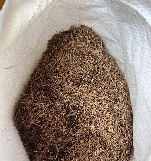 腐叶土适合种植哪些花卉？