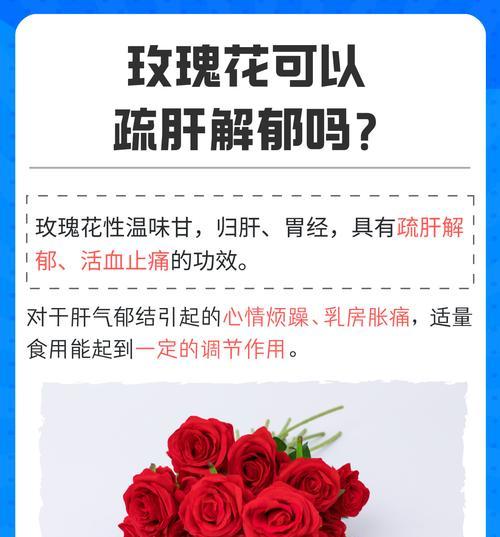 玫瑰花的护理技巧有哪些？