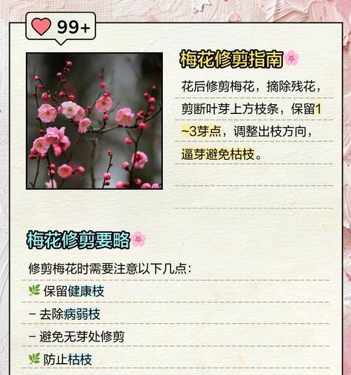 梅花的种植方法是什么？如何让梅花在冬天开花？