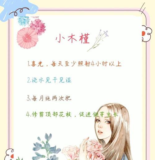 盆栽木槿花的正确养殖方法是什么？木槿花养护需要注意什么？