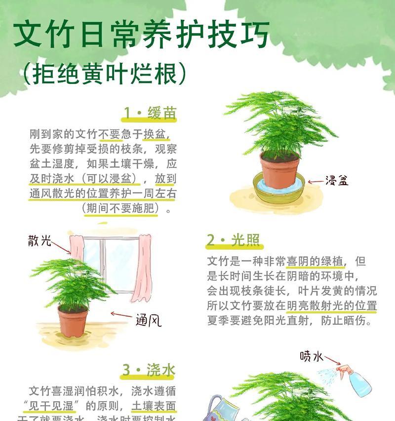 毛竹旺盛生长的秘诀是什么？